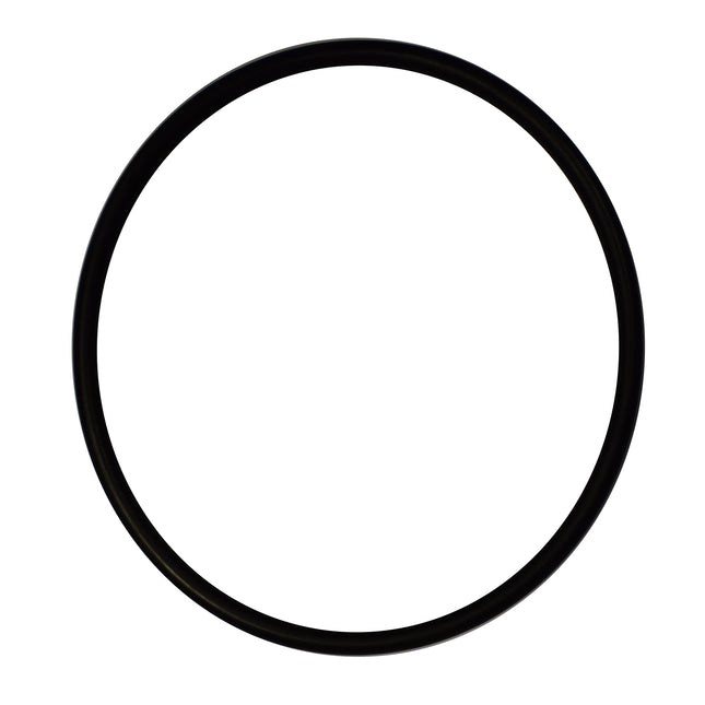 384800-16 Cylinder Top Cover Large 'O' Ring